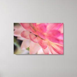 Heldere roze strobloem canvas afdruk