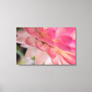 Heldere roze strobloem canvas afdruk