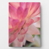 Heldere roze strobloem fotoplaat (voorkant)