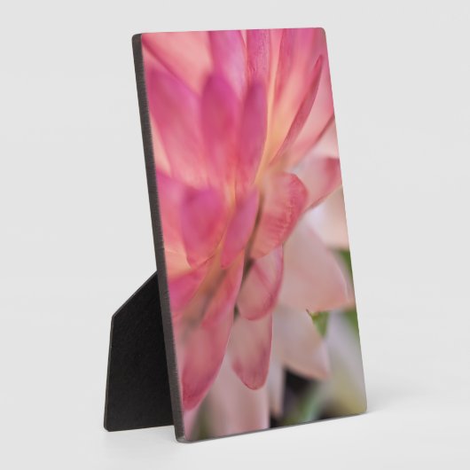 Heldere roze strobloem fotoplaat (Zijkant)