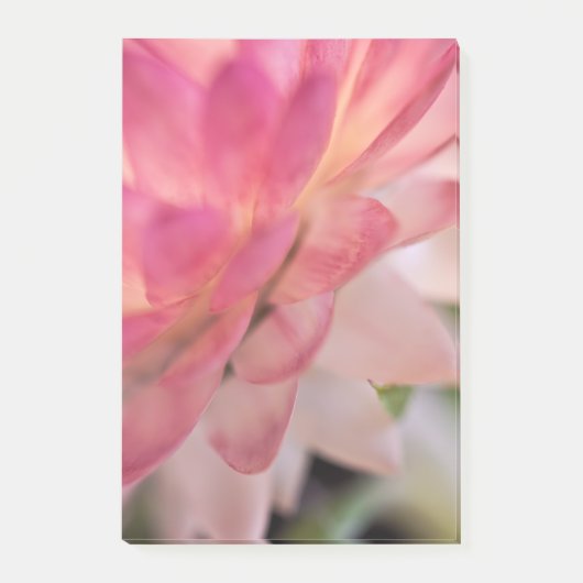 Heldere roze strobloem post-it® notes (Voorkant)