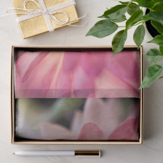 Heldere roze strobloem tissuepapier (Geschenk)
