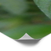 Heldere roze tropische bloemen poster (Hoek)