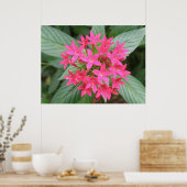 Heldere roze tropische bloemen poster (Keuken)