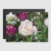 Heldere roze tulpen op een zonnige dag (Voorkant / Achterkant)