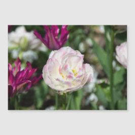 Heldere roze tulpen op een zonnige dag