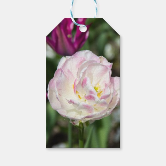 Heldere roze tulpen op een zonnige dag cadeaulabel (Voorkant)