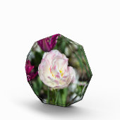 Heldere roze tulpen op een zonnige dag fotoblokken (Rechts)