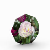 Heldere roze tulpen op een zonnige dag fotoblokken (Links)