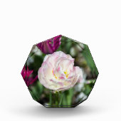 Heldere roze tulpen op een zonnige dag fotoblokken (Voorkant)