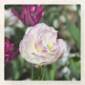 Heldere roze tulpen op een zonnige dag glazen onderzetter (Voorkant)