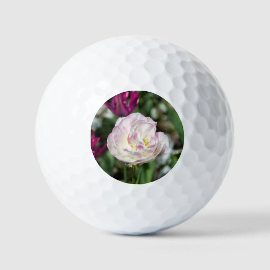 Heldere roze tulpen op een zonnige dag golfballen (Voorkant)