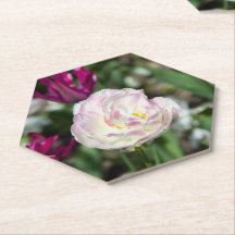 Heldere roze tulpen op een zonnige dag