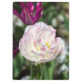 Heldere roze tulpen op een zonnige dag klembord (Achterkant)