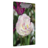 Heldere roze tulpen op een zonnige dag klembord (Rechts)