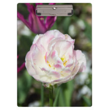 Heldere roze tulpen op een zonnige dag