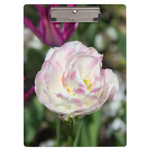 Heldere roze tulpen op een zonnige dag klembord (Voorkant)