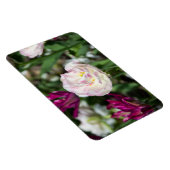 Heldere roze tulpen op een zonnige dag magneet (Rechterzijde)