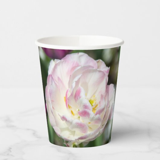 Heldere roze tulpen op een zonnige dag papieren bekers (Links)