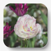 Heldere roze tulpen op een zonnige dag papieren bordje (Voorkant)