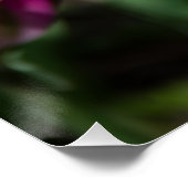 Heldere roze tulpen op een zonnige dag perfect poster (Hoek)