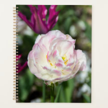 Heldere roze tulpen op een zonnige dag