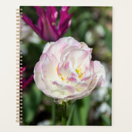 Heldere roze tulpen op een zonnige dag planner (Voorkant)