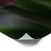 Heldere roze tulpen op een zonnige dag poster (Hoek)