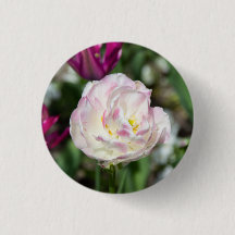 Heldere roze tulpen op een zonnige dag