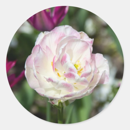 Heldere roze tulpen op een zonnige dag ronde sticker (Voorkant)