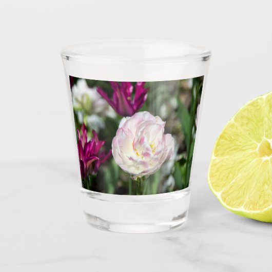 Heldere roze tulpen op een zonnige dag shot glas (Voorkant)