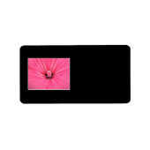 Heldere roze ventilator. etiket (Voorkant)