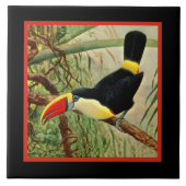 Heldere tropische aanraking in het Oerwoud  Tegeltje (Voorkant)