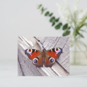 heldere vlinder briefkaart (Staand voorkant)