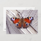 heldere vlinder briefkaart (Voorkant / Achterkant)