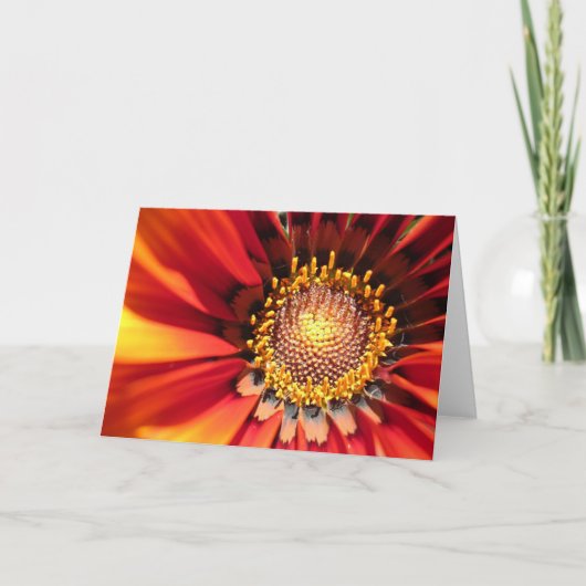 Heldere Vonk Kaart (Voorkant)