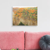 HELDERE VORK KLOOF, MOHICAN MEMORIAL STATE FOREST CANVAS AFDRUK (Insitu (Woonkamer))