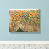 HELDERE VORK KLOOF, MOHICAN MEMORIAL STATE FOREST CANVAS AFDRUK (Insitu (Houten vloer))