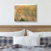 HELDERE VORK KLOOF, MOHICAN MEMORIAL STATE FOREST CANVAS AFDRUK (Insitu (Slaapkamer))