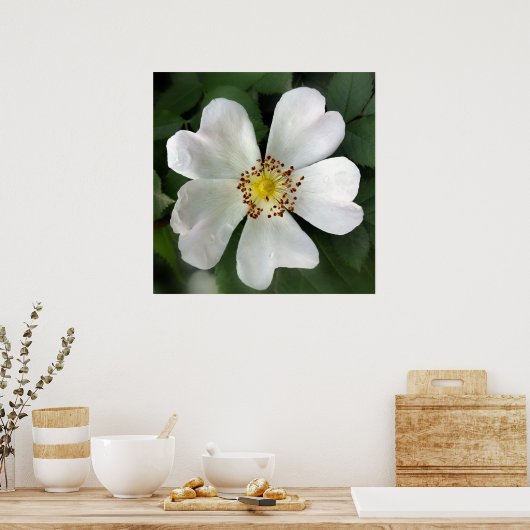 heldere witte bloem poster (Keuken)