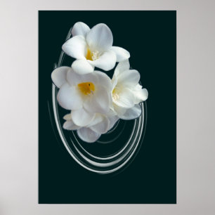 heldere witte diepte poster