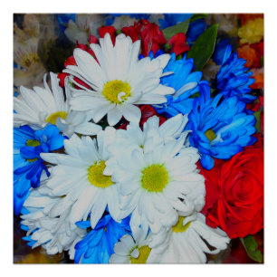 Heldere Witte en Blauwe Daisy Flower Mix Poster