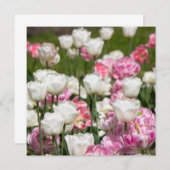 Heldere witte en roze tulpen op een zonnige dag (Voorkant / Achterkant)