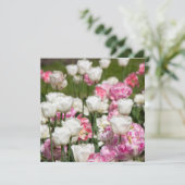 Heldere witte en roze tulpen op een zonnige dag (Staand voorkant)