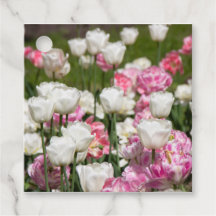 Heldere witte en roze tulpen op een zonnige dag