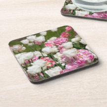 Heldere witte en roze tulpen op een zonnige dag