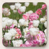 Heldere witte en roze tulpen op een zonnige dag bier onderzetter (Voorkant)