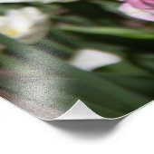 Heldere witte en roze tulpen op een zonnige dag foto afdruk (Hoek)