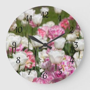 Heldere witte en roze tulpen op een zonnige dag grote klok