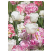 Heldere witte en roze tulpen op een zonnige dag klembord (Achterkant)